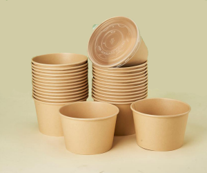 Paper Bowl